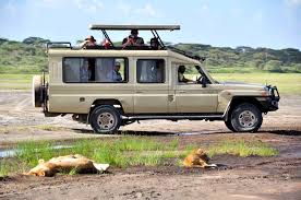 Safari Vehicle