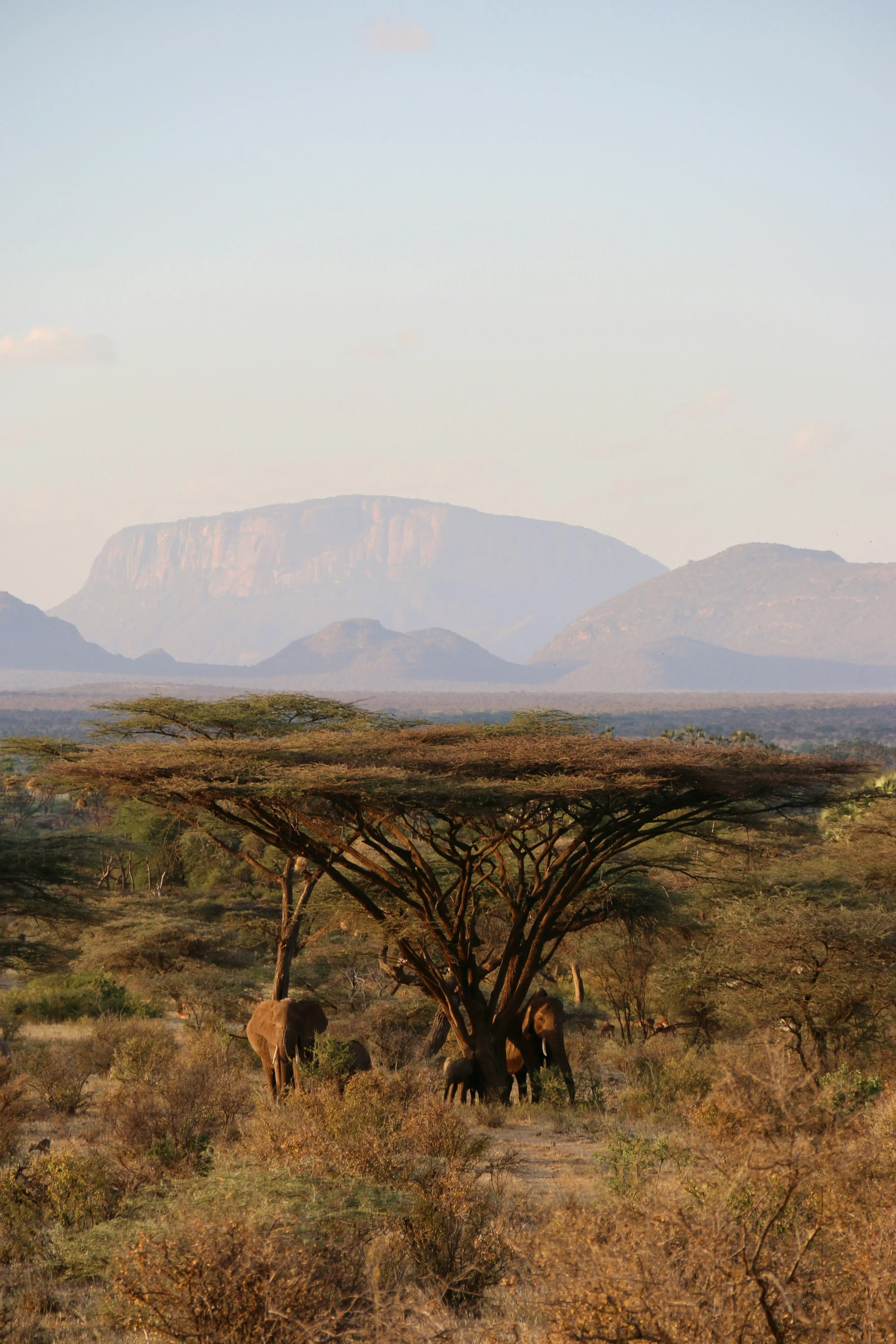 Kenya Tanzania Safari